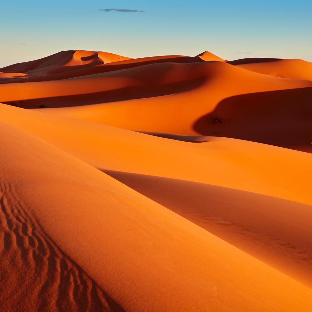 Liderazgo de Impacto en el Desierto · Merzouga
